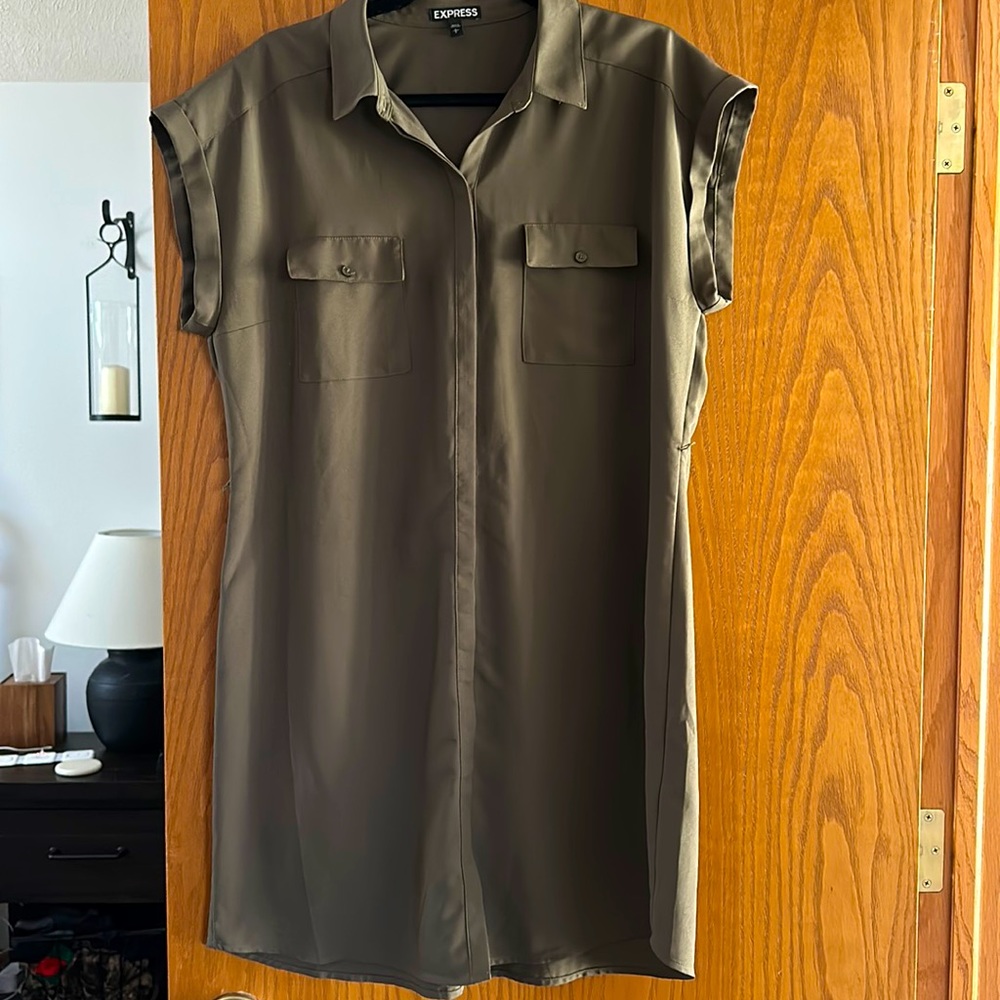 Express hunter Green Dress